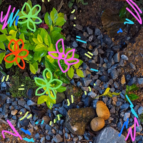 Untitled Collection #202728465