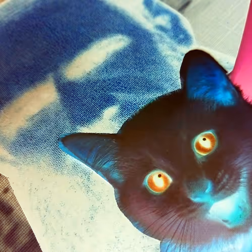 4747115153065902387790593868107453782499677024781155622119189979606311501825