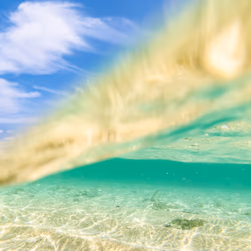 Item #108911492996146874115956011896780761878527851196280444702557873505072781983747 Media