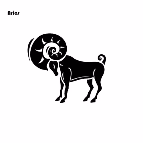 Item #94055843016332623023440833252682160026105266484287778722989593731451748089857 Media