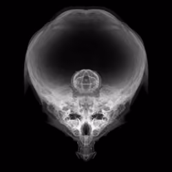 Alien Embryo - 387 of 2000