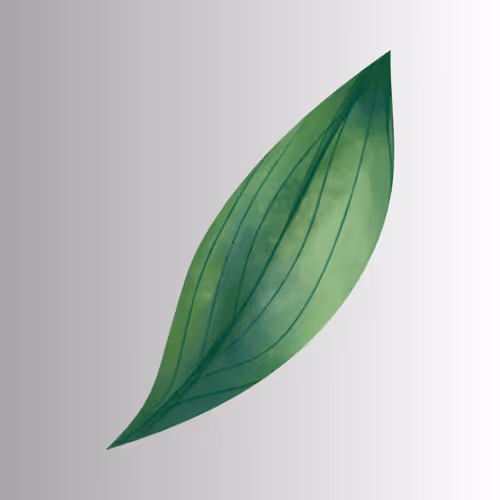 Item #31005137223559489105617282668813762999776598720723711678983405838466036007912 Media