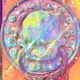 22584162538475775727907880938575686115750307770774424269557543263778709176321