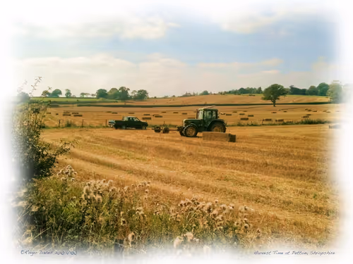 Item #25766228410116791685339336380012731519026805930459738932816938843495496417380 Media