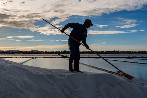 Item #44380994338133063636427405274069008736849147253072084515634940328299676565505 Media