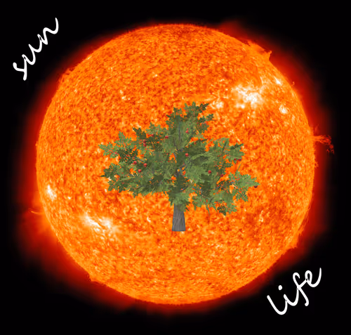 Item #23279821161577730692110857114239154659271267275951063360859953834785488502785 Media