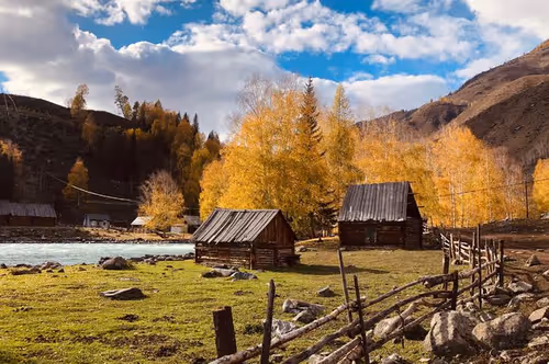 Untitled Collection #74739657