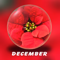 December