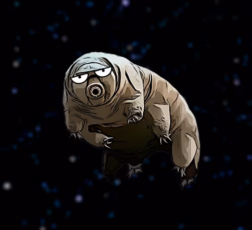 Item #86202550248586517642199010531110464804800601482172909858196685612641635270657 Media