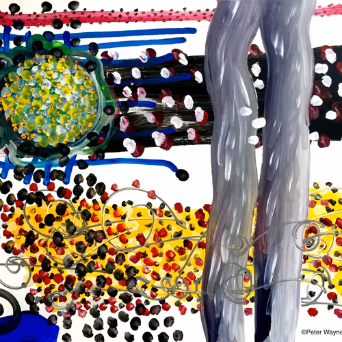 82389879720576235689883874954171763006981900768382394728967861661826352676865