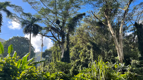 Item #60049021281838875725342691743098835561233814610274279407068971087017466134529 Media