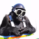 95560929656620222463680363209073245917778991963760186210087673665435757182977