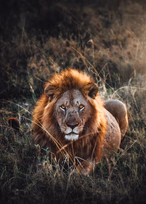 Item #46146454175190830687847236221543248864679735900060228179798027771502416363521 Media