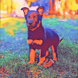 Smol Scout