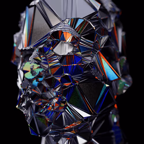 Fragments of Man