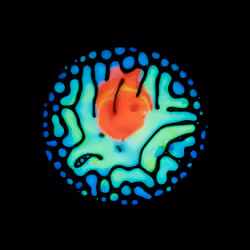 Haematopoiesis #32