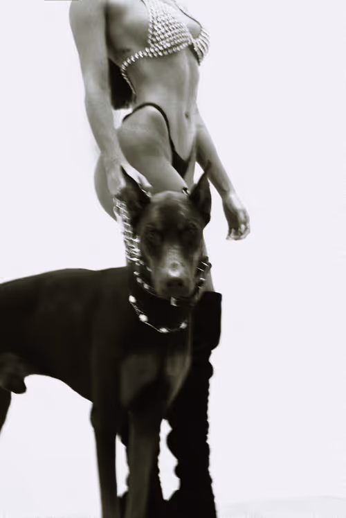 Item #10311560237288479791245027674378898479116131956774636101046368667900928065537 Media