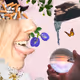 53047980083066735056371693632242528984771650707197463853094973166275375661057