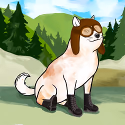 Doge #4555