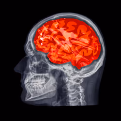 24230885534779484670501703553684953274983737514794072512407783993951211487233