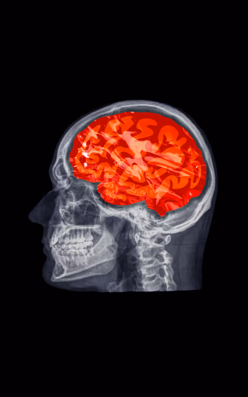 Item #24230885534779484670501703553684953274983737514794072512407783993951211487233 Media