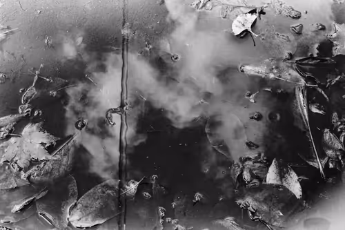 Item #113389523538453954518861650434385779952341255382052210000037666752553166045194 Media