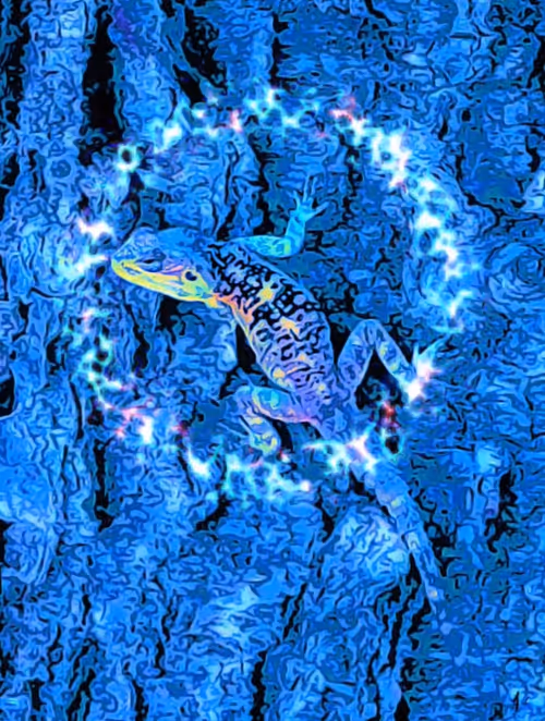 Item #65350531189312466719965629878300611675619064901309659795896823191569801674753 Media