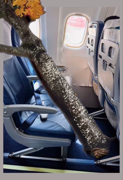 Item #98302218548154138540751170161055066086641108964287725677528013446541735886849 Media