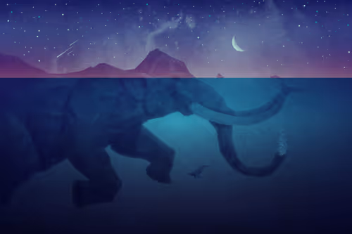 Item #27578065922704194638188853044099372843959231024850198806086408107079545913444 Media