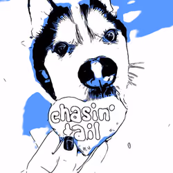 DiceDog-E Mischief 