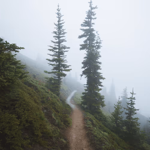 Wilderness of Washington by Nathanael Billings