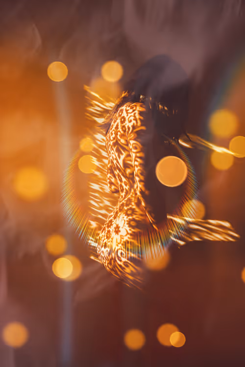 Item #40498021365110625873163859620955492987361950717153146364459205454040978685953 Media