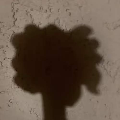 85906662622493889269525054120390254351192400408264024505621426709821703323649