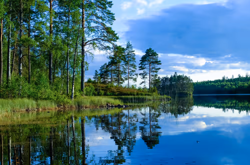 Item #110006033597033657576251014007855391503409468234064486912369068652760741707777 Media