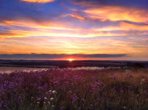 Item #22679541609511850921482839671414390235867034156712454000733412237721091440641 Media