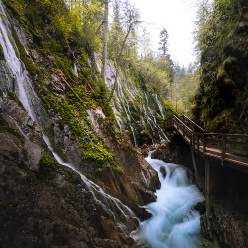 59404681870809906448390957325299961742928436828892721220786848778115381985281