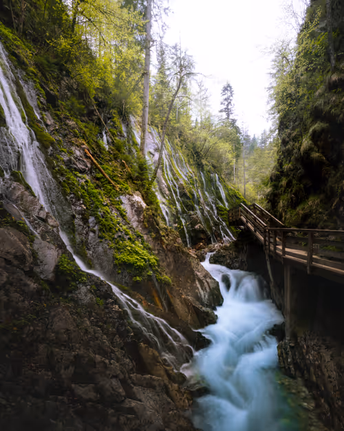 Item #59404681870809906448390957325299961742928436828892721220786848778115381985281 Media