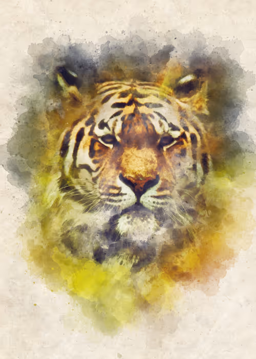 Item #15014501094177266764276721167416670682863278571620639160817117490566200819713 Media