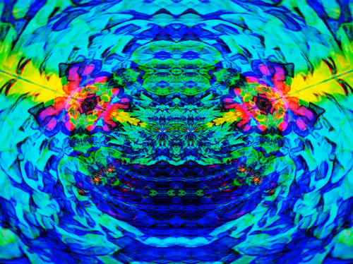 Item #53656058415869394314962841575876085778892851125174536728105346397089132707841 Media