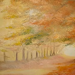  Autumn forest