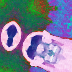 Item Media