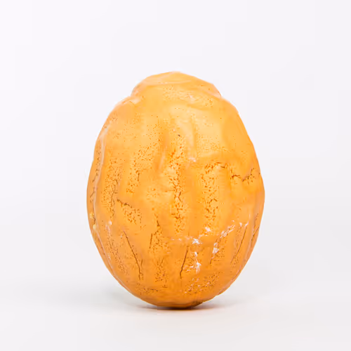 40632996133042654692589824603650500763499961417471040253403769865561557696517