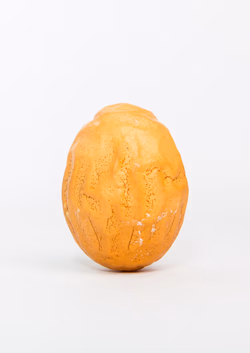 Item #40632996133042654692589824603650500763499961417471040253403769865561557696517 Media