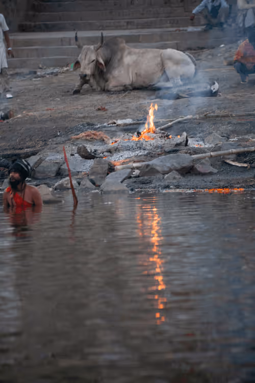 Item #36486330599558234192948007262260679931493432277950452627377023258595585687553 Media