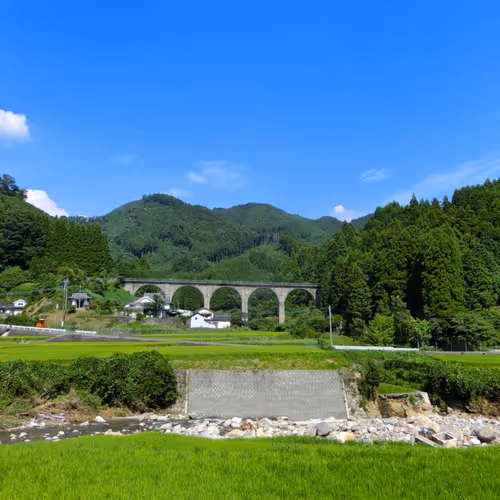 Crypto-INVESTORJP Collection