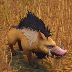 Boar #3