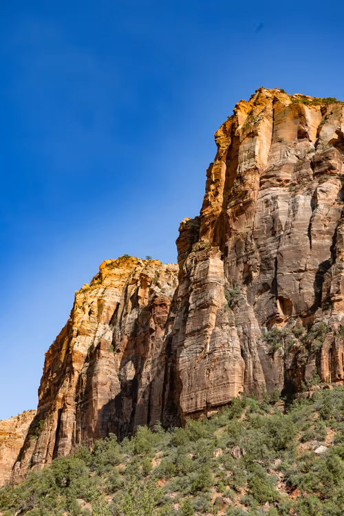 Item #44465766653785609870851624606881938772704909721973513553838201791782022283265 Media