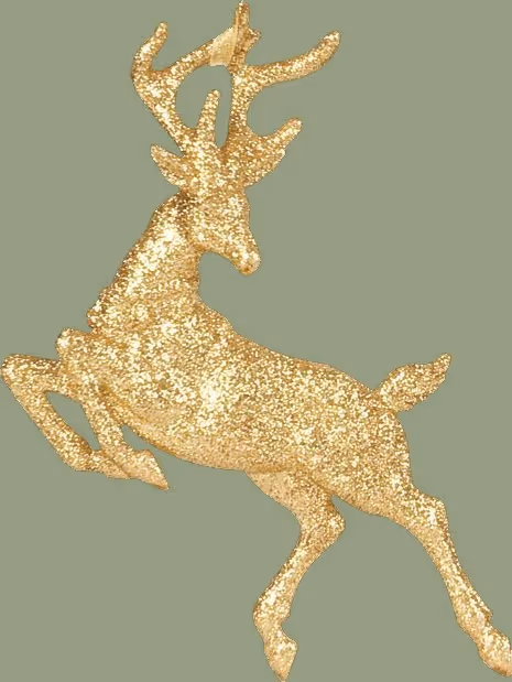 Item #81782205041601098620493693111202976409833722435603250912437964289382998343681 Media