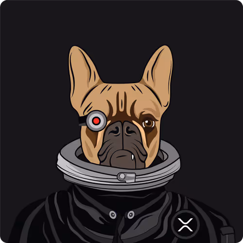 Item #65695530338317565886450650659772509774405274730065055656540856527793369907201 Media