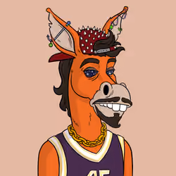 Criminal Donkey 3798